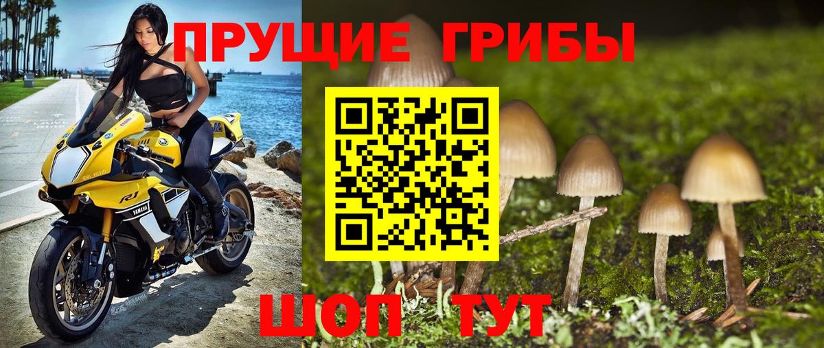 Галлюциногенные грибы GOLDEN TEACHER Белебей