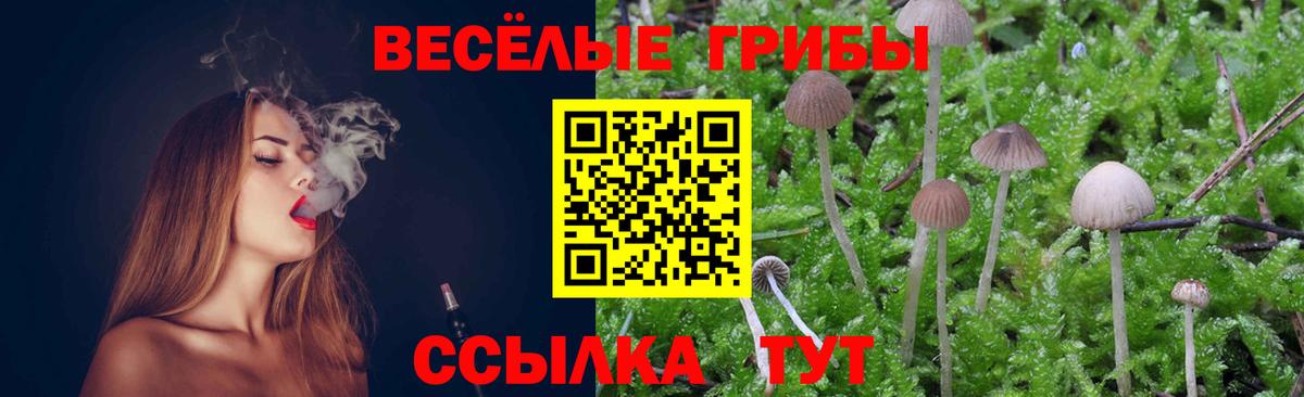Псилоцибиновые грибы Magic Shrooms  Вход с VPN  Белебей 